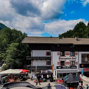 *** Hotel Pinzgauerhof By Skinetworks Österreich